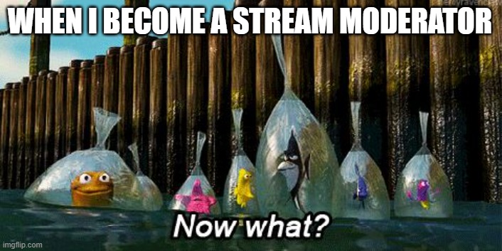 Now What? | WHEN I BECOME A STREAM MODERATOR | image tagged in now what | made w/ Imgflip meme maker