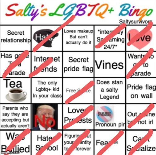 BINGOOOOOOOO | image tagged in saltys lgbtq bingo | made w/ Imgflip meme maker