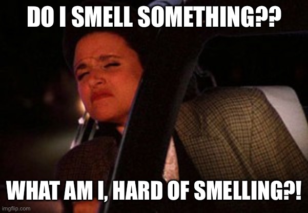 Seinfeld Smelly Car | DO I SMELL SOMETHING?? WHAT AM I, HARD OF SMELLING?! | image tagged in seinfeld | made w/ Imgflip meme maker