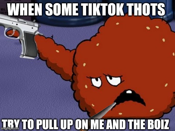 Me N' my crew don't F around | WHEN SOME TIKTOK THOTS; TRY TO PULL UP ON ME AND THE BOIZ | image tagged in meatwad with a gun | made w/ Imgflip meme maker