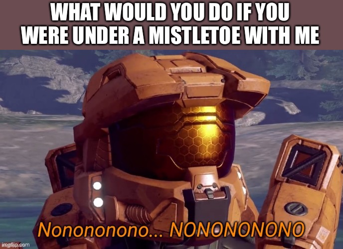 Kill me probably | WHAT WOULD YOU DO IF YOU WERE UNDER A MISTLETOE WITH ME | image tagged in nonononono,memes | made w/ Imgflip meme maker