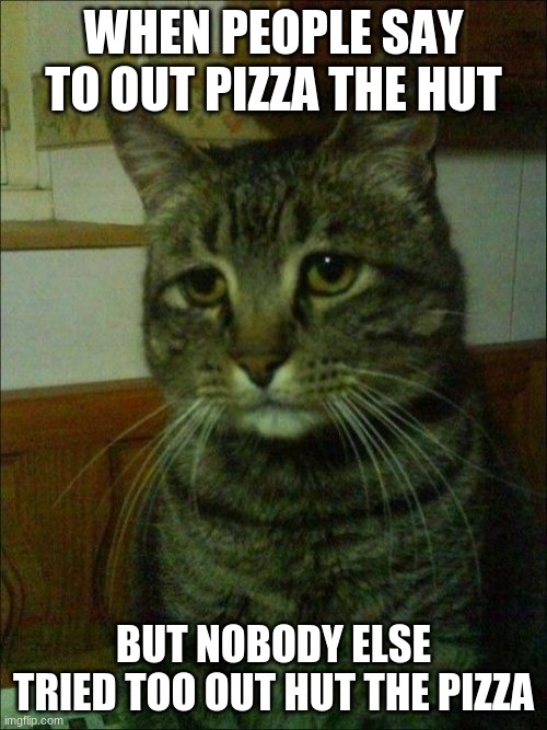 Depressed Cat Meme |  WHEN PEOPLE SAY TO OUT PIZZA THE HUT; BUT NOBODY ELSE TRIED TOO OUT HUT THE PIZZA | image tagged in memes,depressed cat | made w/ Imgflip meme maker