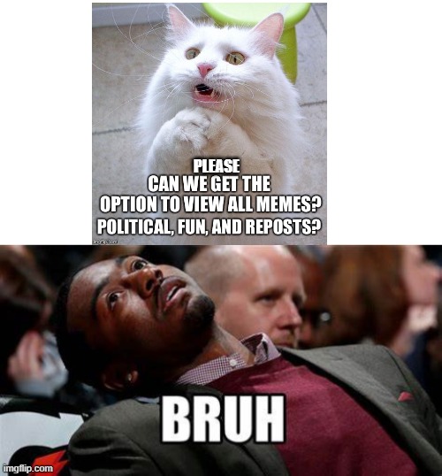 PLEASE | image tagged in begging cat,bruh,memes | made w/ Imgflip meme maker