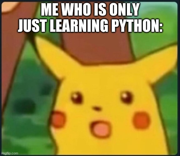 Surprised Pikachu | ME WHO IS ONLY JUST LEARNING PYTHON: | image tagged in surprised pikachu | made w/ Imgflip meme maker