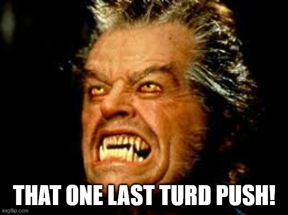 Turds | THAT ONE LAST TURD PUSH! | image tagged in turds,bathroom humor | made w/ Imgflip meme maker