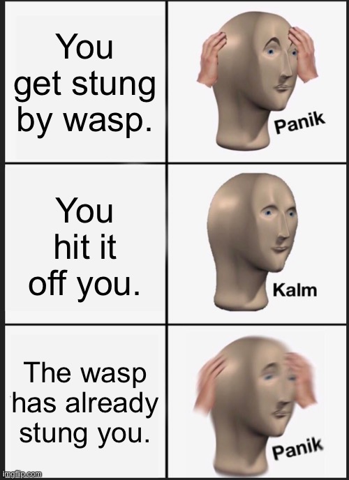 Panik Kalm Panik Meme | You get stung by wasp. You hit it off you. The wasp has already stung you. | image tagged in memes,panik kalm panik | made w/ Imgflip meme maker