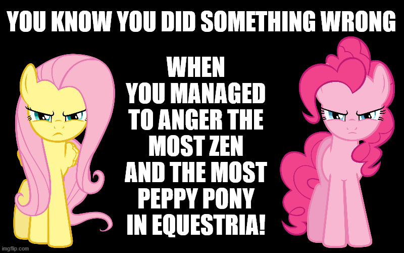 death stare | WHEN YOU MANAGED TO ANGER THE MOST ZEN AND THE MOST PEPPY PONY IN EQUESTRIA! YOU KNOW YOU DID SOMETHING WRONG | image tagged in mlp,fluttershy,pinkie pie,memes | made w/ Imgflip meme maker