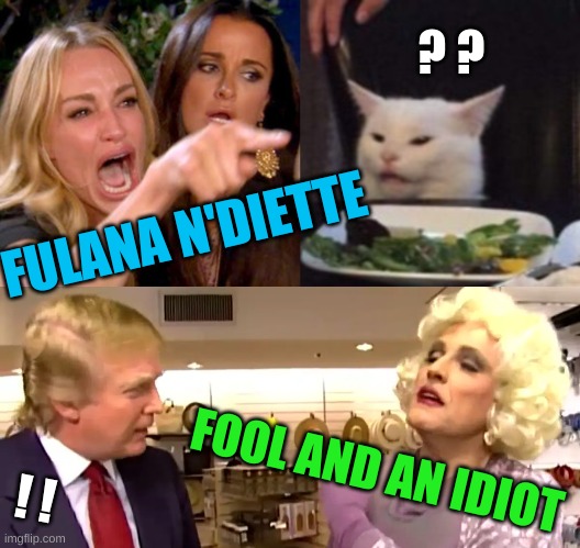 donald drag queen trump woman yelling at cat | ? ? FULANA N'DIETTE; FOOL AND AN IDIOT; ! ! | image tagged in donald drag queen trump woman yelling at cat,fool and an idiot,idiot,i pity the fool,drag queens | made w/ Imgflip meme maker
