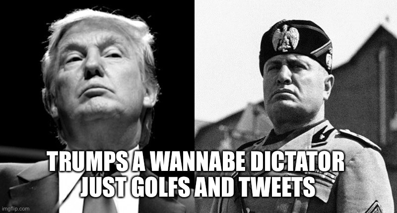 Trump Mussolini | TRUMPS A WANNABE DICTATOR 
JUST GOLFS AND TWEETS | image tagged in trump mussolini | made w/ Imgflip meme maker