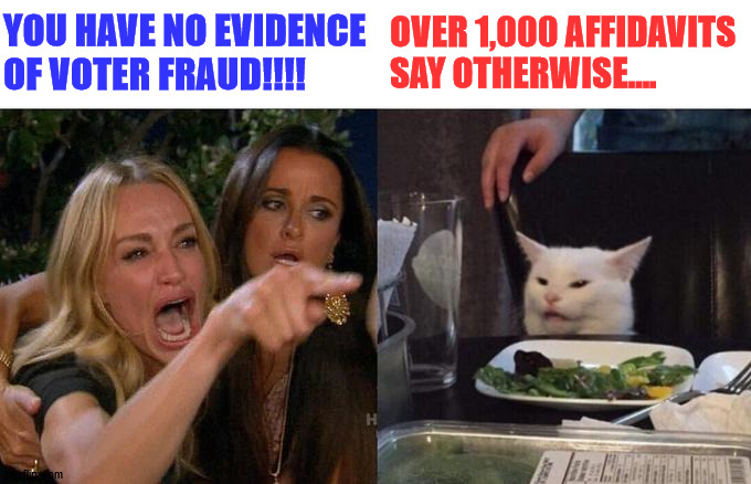 Voter fraud for dummies. | YOU HAVE NO EVIDENCE OF VOTER FRAUD!!!! OVER 1,000 AFFIDAVITS SAY OTHERWISE.... | image tagged in memes,woman yelling at cat,trump,biden,voter fraud,election 2020 | made w/ Imgflip meme maker