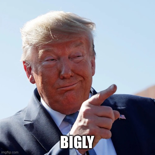 BIGLY | made w/ Imgflip meme maker