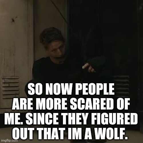 NF_FAN | SO NOW PEOPLE ARE MORE SCARED OF ME. SINCE THEY FIGURED OUT THAT IM A WOLF. | image tagged in nf_fan | made w/ Imgflip meme maker