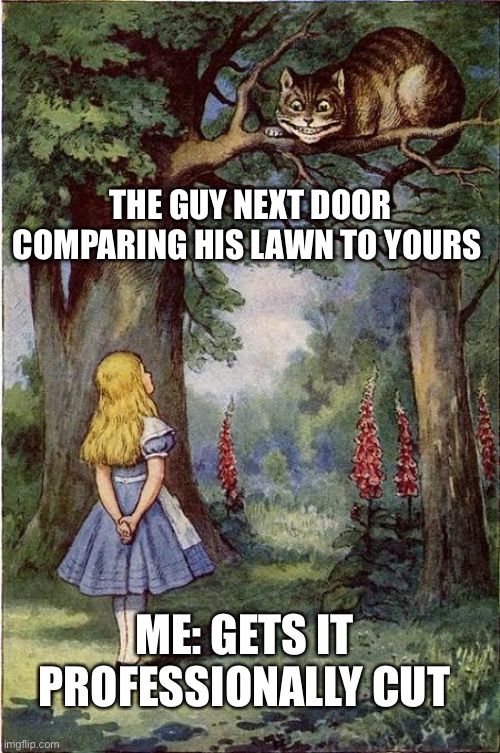 THE GUY NEXT DOOR COMPARING HIS LAWN TO YOURS; ME: GETS IT PROFESSIONALLY CUT | image tagged in funny memes | made w/ Imgflip meme maker