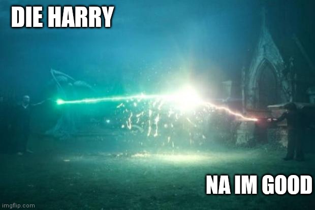 Harry Potter Voldemort Duel | DIE HARRY; NA IM GOOD | image tagged in harry potter voldemort duel | made w/ Imgflip meme maker