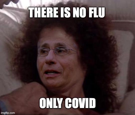 there is no fluu | THERE IS NO FLU; ONLY COVID | image tagged in zuul,fauci | made w/ Imgflip meme maker