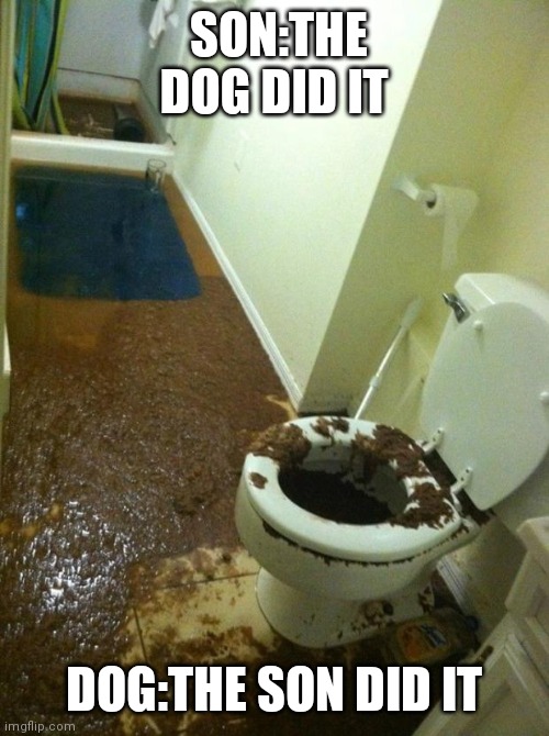 poop | SON:THE DOG DID IT; DOG:THE SON DID IT | image tagged in poop | made w/ Imgflip meme maker