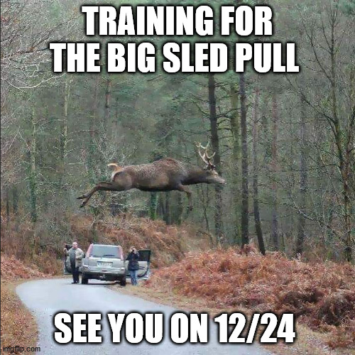 TRAINING FOR THE BIG SLED PULL; SEE YOU ON 12/24 | image tagged in reindeer training | made w/ Imgflip meme maker
