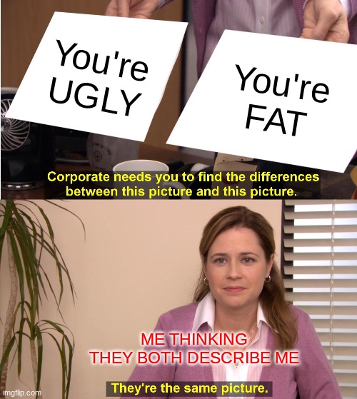 HAHAhAEHEHHEHEHEHHEHe | You're UGLY; You're FAT; ME THINKING THEY BOTH DESCRIBE ME | image tagged in memes,they're the same picture | made w/ Imgflip meme maker