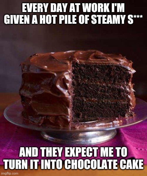 Every day at work I'm given a hot steamy pile of s*** and they expect me to turn it into chocolate cake | EVERY DAY AT WORK I'M GIVEN A HOT PILE OF STEAMY S***; AND THEY EXPECT ME TO TURN IT INTO CHOCOLATE CAKE | image tagged in chocolate cake 3,work sucks,funny,meme,memes,funny memes | made w/ Imgflip meme maker
