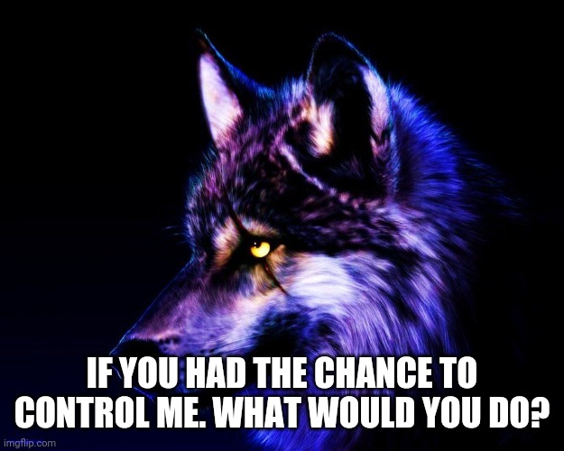 No NSFW | IF YOU HAD THE CHANCE TO CONTROL ME. WHAT WOULD YOU DO? | image tagged in dont mess with meh its my spirit animal | made w/ Imgflip meme maker