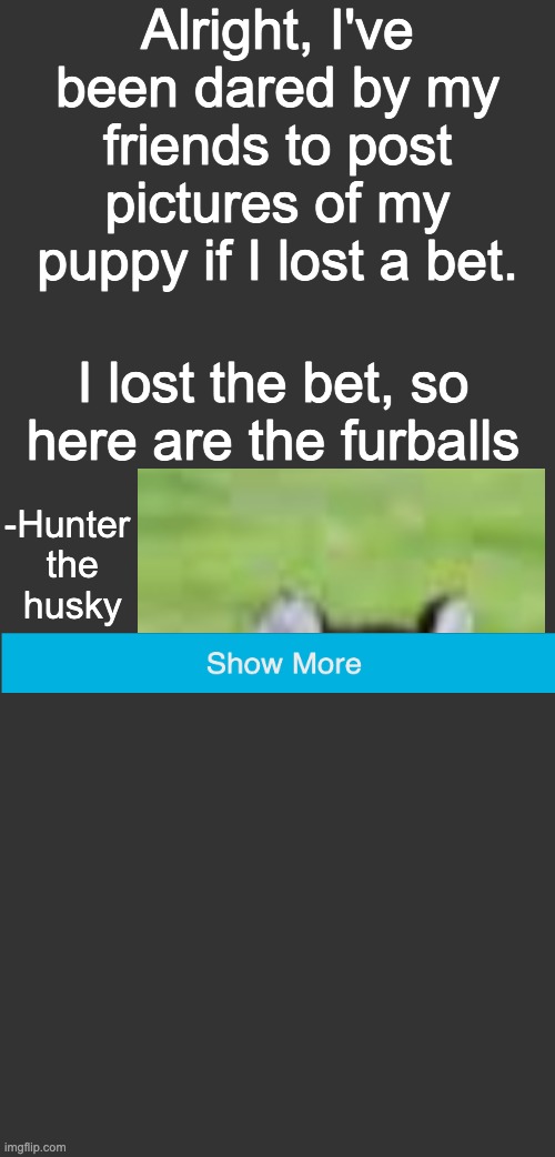 Alright, I've been dared by my friends to post pictures of my puppy if I lost a bet. I lost the bet, so here are the furballs; -Hunter
 the
 husky | made w/ Imgflip meme maker