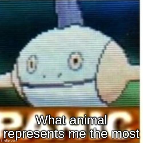 Panic | What animal represents me the most | image tagged in panic | made w/ Imgflip meme maker