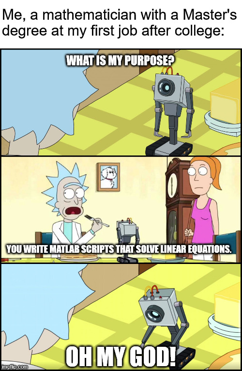 Rick and Morty Butter | Me, a mathematician with a Master's degree at my first job after college:; WHAT IS MY PURPOSE? YOU WRITE MATLAB SCRIPTS THAT SOLVE LINEAR EQUATIONS. OH MY GOD! | image tagged in rick and morty butter | made w/ Imgflip meme maker