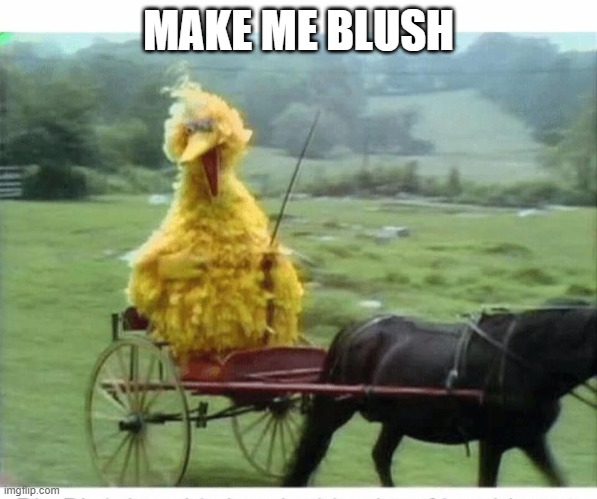 Big Bird in Carriage | MAKE ME BLUSH | image tagged in big bird in carriage | made w/ Imgflip meme maker