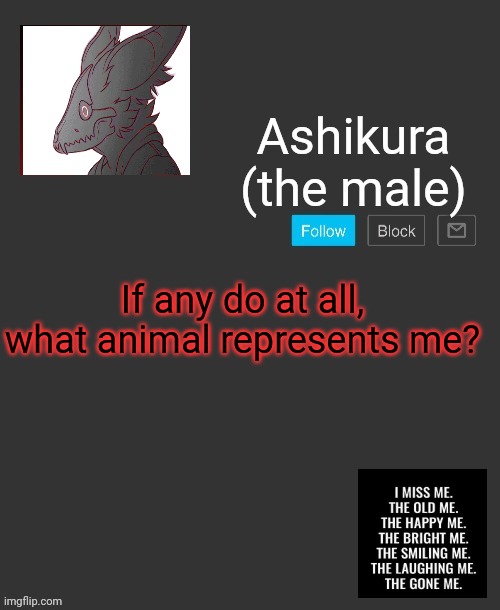 Ashikura's announcement template | If any do at all, what animal represents me? | image tagged in ashikura's announcement template | made w/ Imgflip meme maker