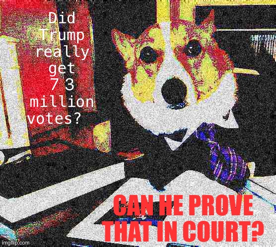 [if we sounded like them] | Did Trump really get 73 million votes? CAN HE PROVE THAT IN COURT? | image tagged in lawyer corgi dog deep-fried,voter fraud,election 2020,2020 elections,conspiracy theory,conspiracy theories | made w/ Imgflip meme maker