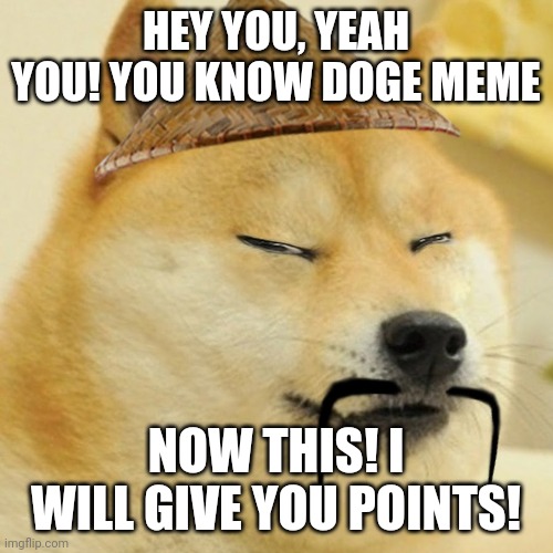 Doge Meme for Everyone. |  HEY YOU, YEAH YOU! YOU KNOW DOGE MEME; NOW THIS! I WILL GIVE YOU POINTS! | image tagged in barkfucius asian doge barkfucious,memes,doge,funny,chinese | made w/ Imgflip meme maker