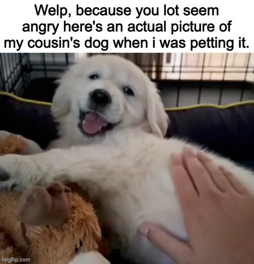 Welp, because you lot seem angry here's an actual picture of my cousin's dog when i was petting it. | made w/ Imgflip meme maker