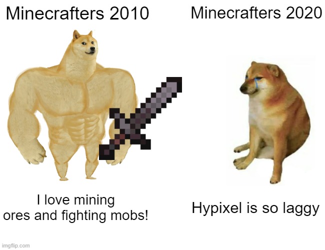 Buff Doge vs. Cheems | Minecrafters 2010; Minecrafters 2020; I love mining ores and fighting mobs! Hypixel is so laggy | image tagged in memes,buff doge vs cheems | made w/ Imgflip meme maker