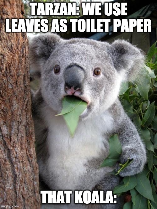 Surprised Koala | TARZAN: WE USE LEAVES AS TOILET PAPER; THAT KOALA: | image tagged in memes,surprised koala | made w/ Imgflip meme maker