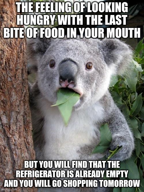 Hungry koala | THE FEELING OF LOOKING HUNGRY WITH THE LAST BITE OF FOOD IN YOUR MOUTH; BUT YOU WILL FIND THAT THE REFRIGERATOR IS ALREADY EMPTY AND YOU WILL GO SHOPPING TOMORROW | image tagged in memes,surprised koala | made w/ Imgflip meme maker