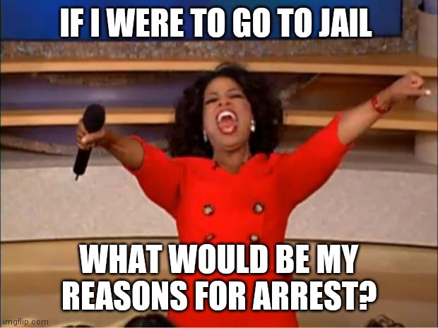 Oprah You Get A | IF I WERE TO GO TO JAIL; WHAT WOULD BE MY REASONS FOR ARREST? | image tagged in memes,oprah you get a | made w/ Imgflip meme maker