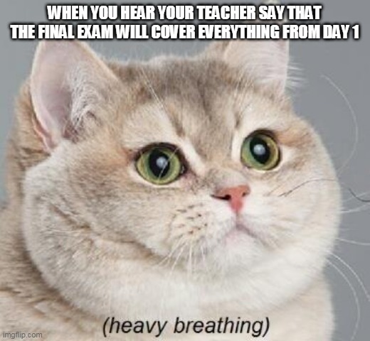 Just no... | WHEN YOU HEAR YOUR TEACHER SAY THAT THE FINAL EXAM WILL COVER EVERYTHING FROM DAY 1 | image tagged in memes,heavy breathing cat | made w/ Imgflip meme maker