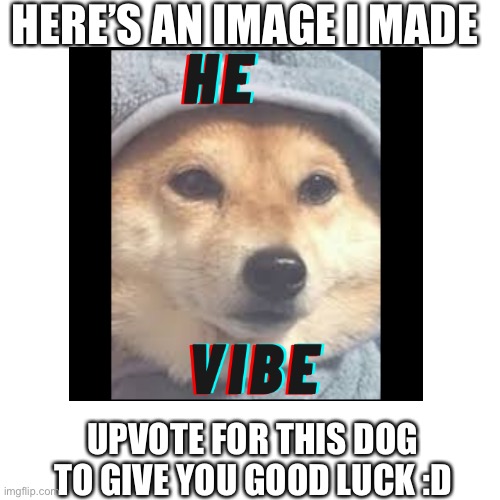 HERE’S AN IMAGE I MADE; UPVOTE FOR THIS DOG TO GIVE YOU GOOD LUCK :D | image tagged in dog | made w/ Imgflip meme maker