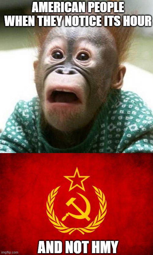 Velkome Komrade |  AMERICAN PEOPLE WHEN THEY NOTICE ITS HOUR; AND NOT HMY | image tagged in shocked monkey,in soviet russia | made w/ Imgflip meme maker