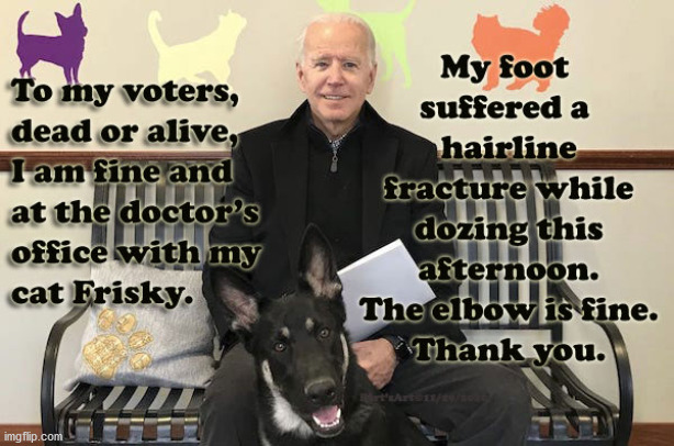 Biden & Frisky His Cat at the Doctor | image tagged in memes,joe biden,biden dementia,sleepy joe,election fraud,supreme court | made w/ Imgflip meme maker