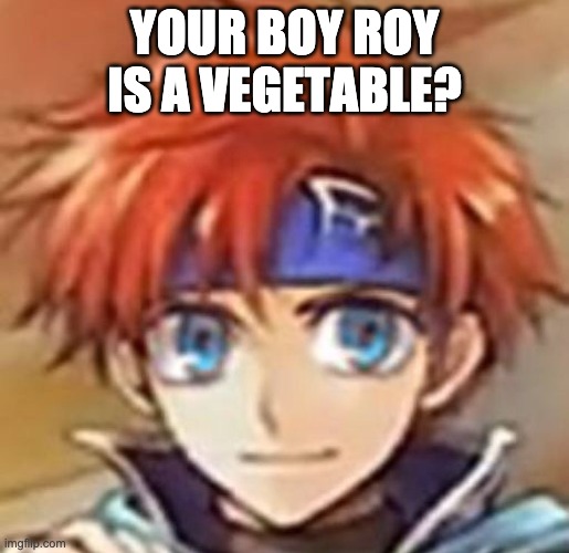 Your Boy Roy | YOUR BOY ROY IS A VEGETABLE? | image tagged in your boy roy | made w/ Imgflip meme maker