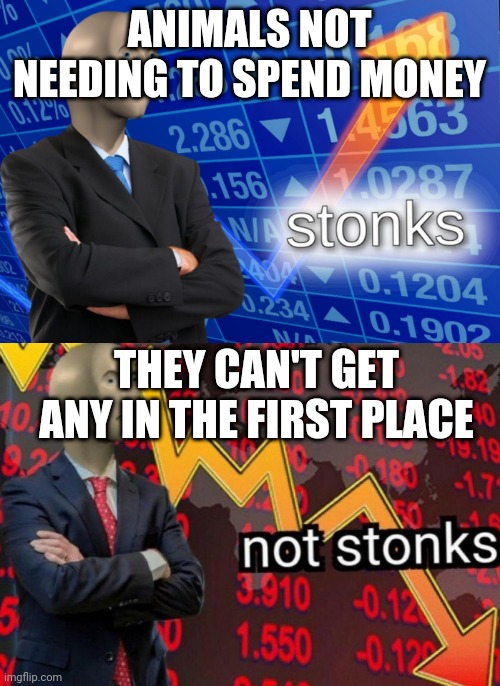 Stonks not stonks |  ANIMALS NOT NEEDING TO SPEND MONEY; THEY CAN'T GET ANY IN THE FIRST PLACE | image tagged in stonks not stonks | made w/ Imgflip meme maker