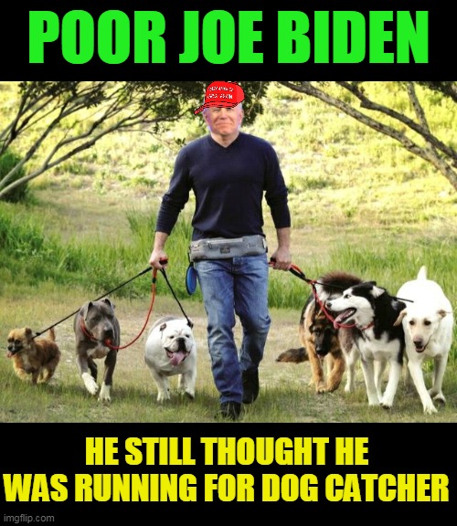 POOR JOE BIDEN; HE STILL THOUGHT HE WAS RUNNING FOR DOG CATCHER | made w/ Imgflip meme maker