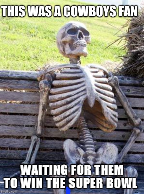 Waiting Skeleton | THIS WAS A COWBOYS FAN; WAITING FOR THEM TO WIN THE SUPER BOWL | image tagged in memes,waiting skeleton | made w/ Imgflip meme maker