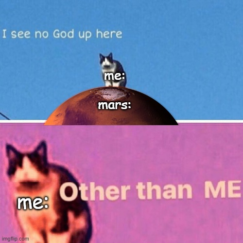 Hail pole cat | me:
 
mars: me: | image tagged in hail pole cat | made w/ Imgflip meme maker