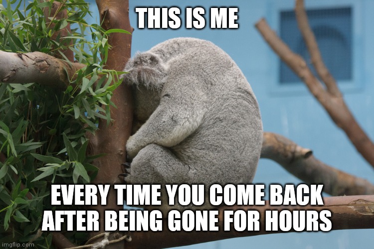 Facts | THIS IS ME; EVERY TIME YOU COME BACK AFTER BEING GONE FOR HOURS | made w/ Imgflip meme maker