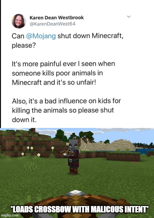This has been the worst karen in the history of karens, maybe ever |  *LOADS CROSSBOW WITH MALICOUS INTENT* | image tagged in karen,minecraft,memes | made w/ Imgflip meme maker