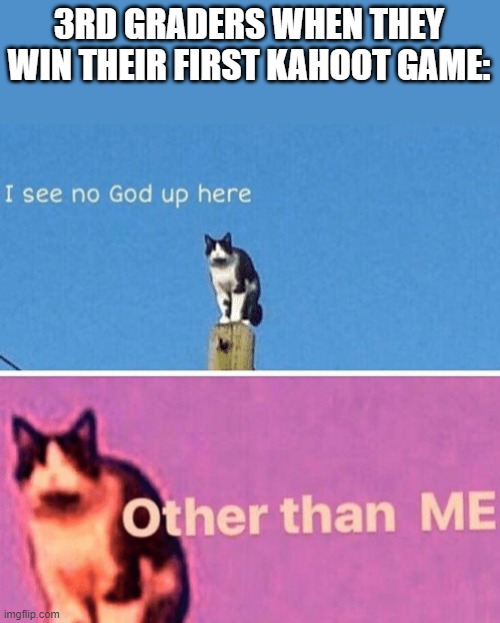 Hail pole cat | 3RD GRADERS WHEN THEY WIN THEIR FIRST KAHOOT GAME: | image tagged in hail pole cat | made w/ Imgflip meme maker