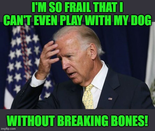 Joe Biden worries | I'M SO FRAIL THAT I CAN'T EVEN PLAY WITH MY DOG WITHOUT BREAKING BONES! | image tagged in joe biden worries | made w/ Imgflip meme maker