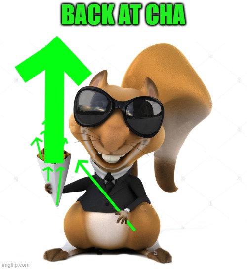 BACK AT CHA | image tagged in upvote squirrel | made w/ Imgflip meme maker